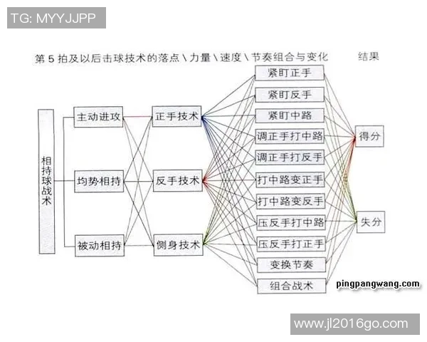 从零起步掌握乒乓球战术技巧全解析助你成为乒乓高手