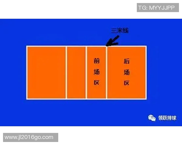 杭州排球队进攻策略分析与表现评估探讨