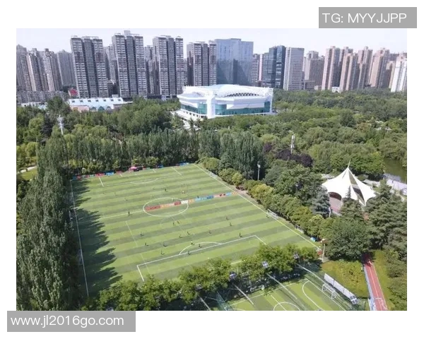 西安足球队反击战术解析与实战运用深度剖析